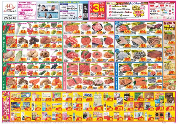 最新チラシnew-1