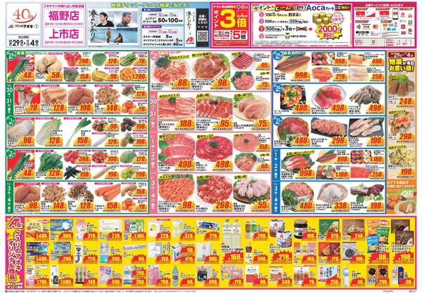 最新チラシnew-1