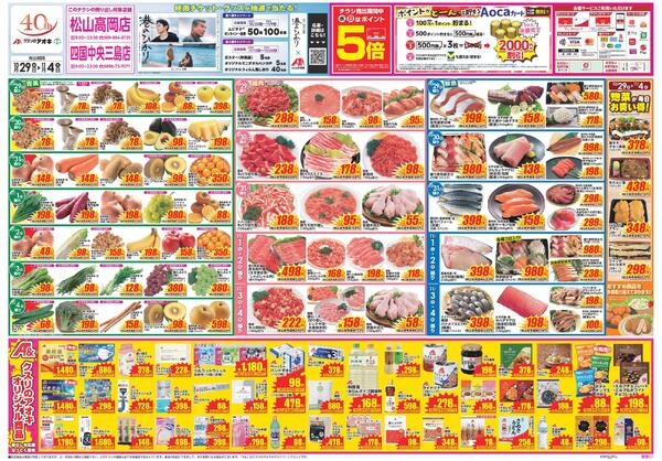 最新チラシnew-1