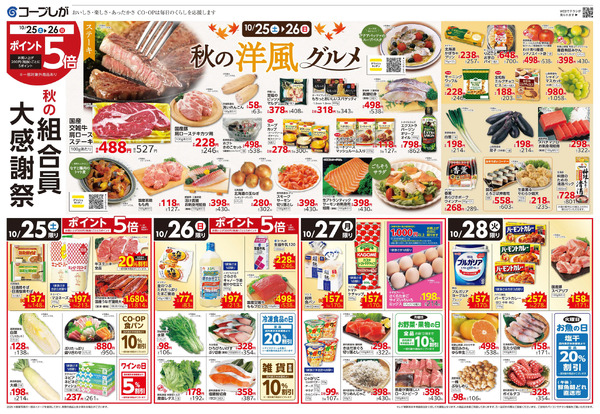 お買い得チラシ-1