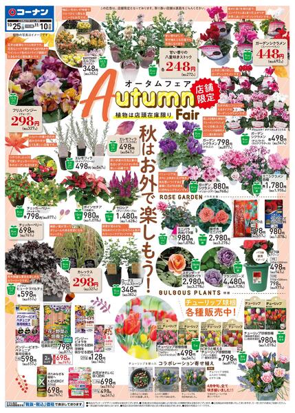 10月25日～11月10日　オータムフェア-1