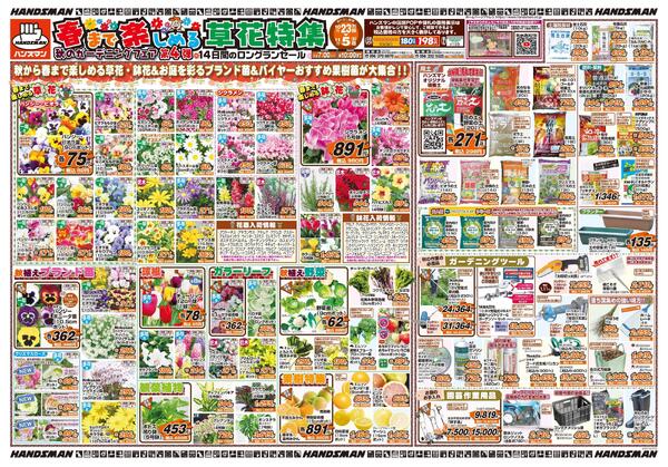 春まで楽しめる草花特集　秋のｶﾞｰﾃﾞﾆﾝｸﾞﾌｪｱ第4弾-1