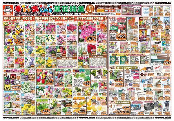 春まで楽しめる草花特集　秋のｶﾞｰﾃﾞﾆﾝｸﾞﾌｪｱ第4弾-1