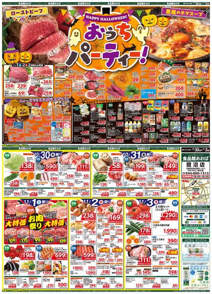 レギュラーチラシ-1