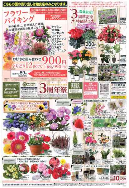 2025年10月10〜31日まで姶良店ガーデン特集-1