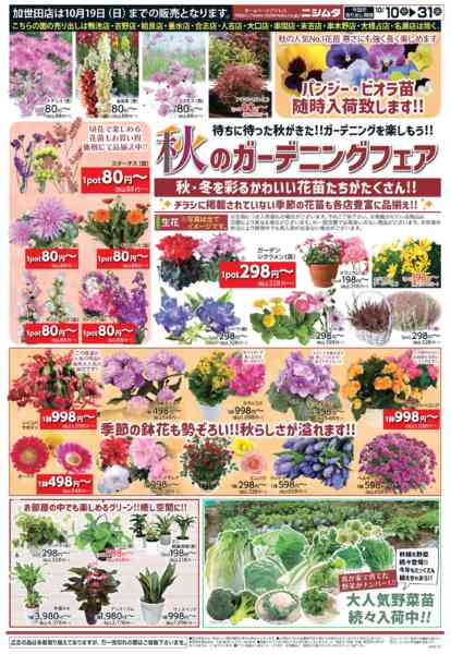 2025年10月10〜31日まで秋のガーデニングフェア-1