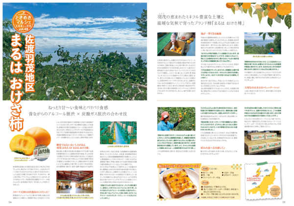 2025年10月1〜31日までリオン・ドール通信10月号-3