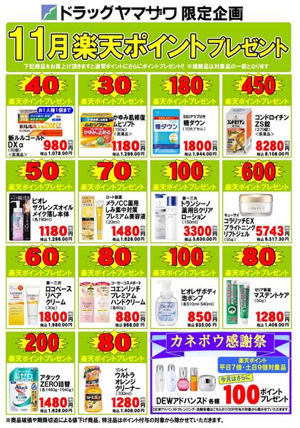 ドラッグヤマザワ11月のポイントプレゼント-1
