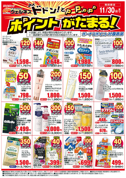 11/1~11/30 ウェルネスボーナスポイントチラシ11月1日～11月30日new-1