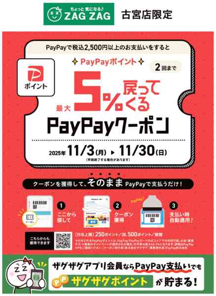 2025年11月3〜30日までPayPayクーポン実施中！-1