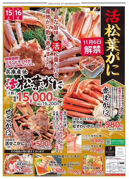 11月13日〜11月16日までのチラシ情報-1