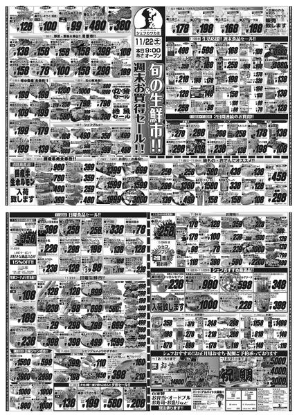 最新チラシnew-1
