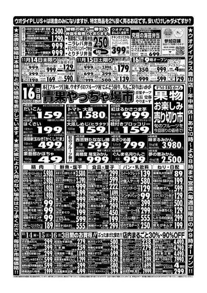 最新チラシnew-1