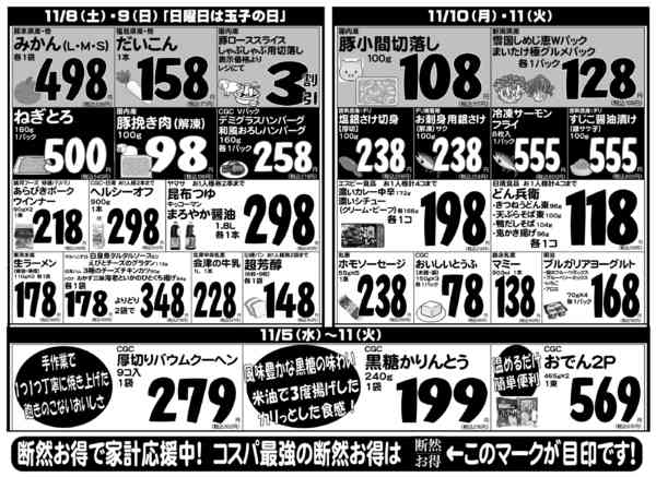 2025年11月5〜11日まで-2