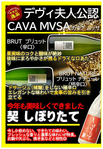 2025年11月11〜30日まで今月のおすすめ商品-1