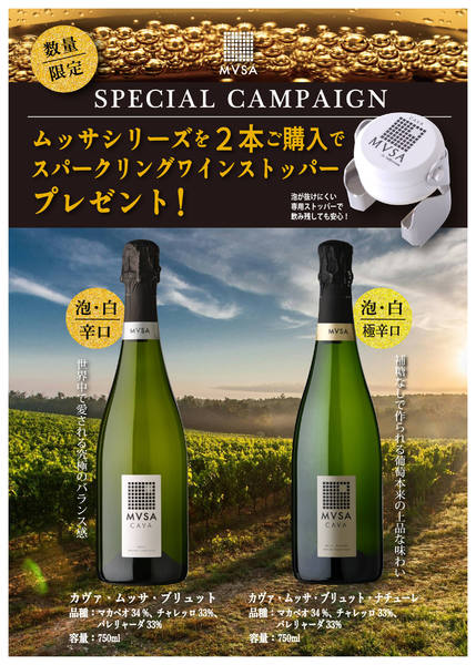 2025年11月11〜30日まで数量限定景品プレゼント！無くなり次第終了-1