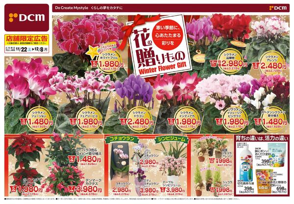 花の贈りもの Winter Flower Gift（11月22日～12月8日）-1