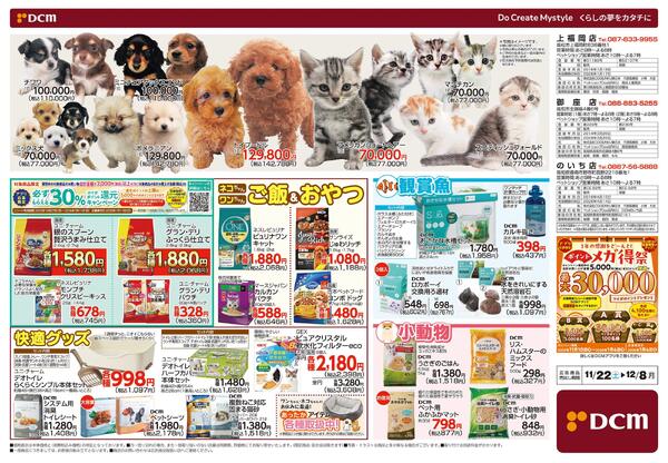 花の贈りもの Winter Flower Gift（11月22日～12月8日）-2