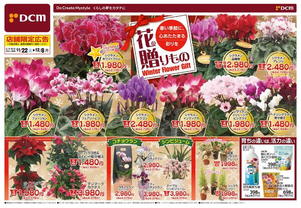 花の贈りもの Winter Flower Gift（11月22日～12月8日）new-1