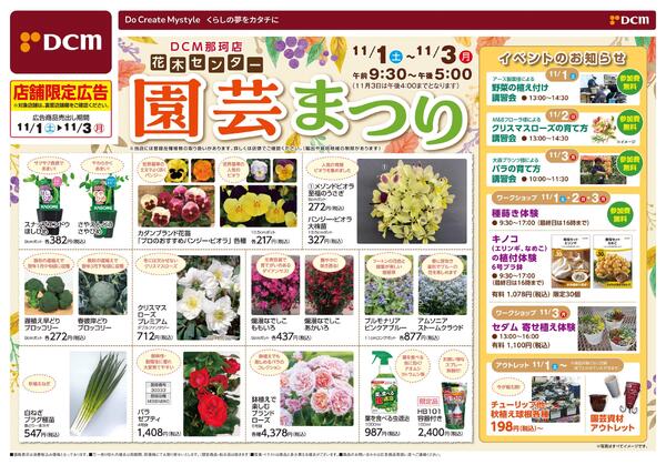 DCM那珂店　花木センター　園芸まつり（11月1日～11月3日）-1