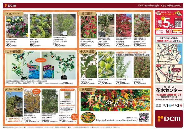 DCM那珂店　花木センター　園芸まつり（11月1日～11月3日）-2