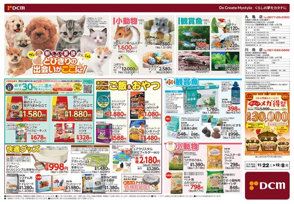 花の贈りもの Winter Flower Gift（11月22日～12月8日）-2