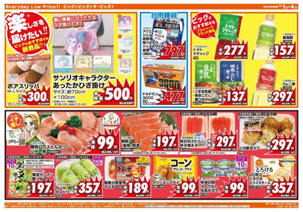 2025年11月1〜4日まで週末のお買い物はザ・ビッグで！new-2