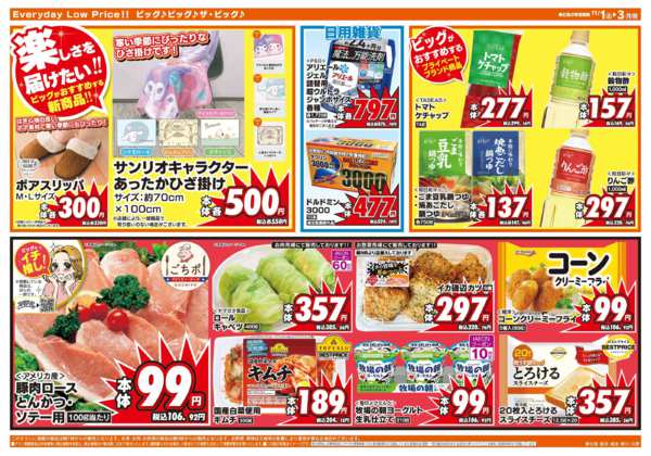 2025年11月1〜3日まで週末のお買い物はザ・ビッグで！new-2