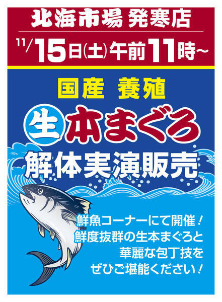 最新チラシnew-3