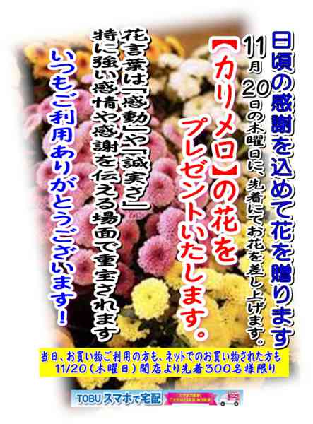 2025年11月1〜19日まで日頃の感謝を込めて お花を贈ります。-1