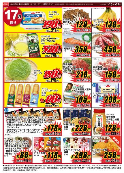 最新チラシnew-1