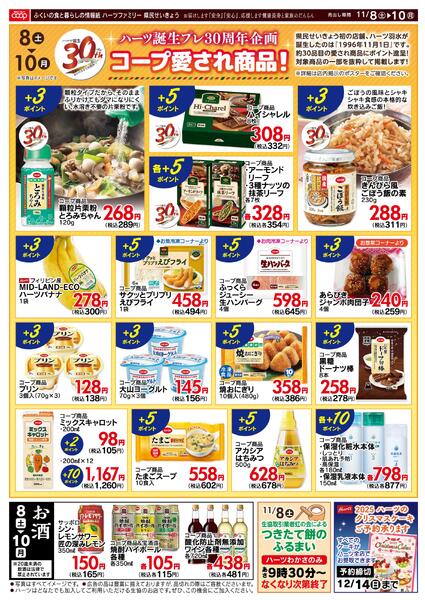 最新チラシnew-2