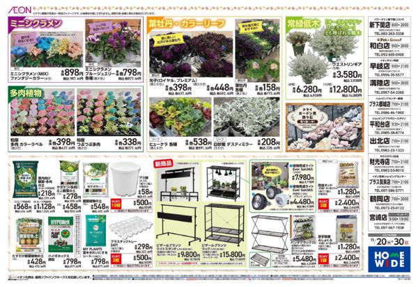 １１月２０日（木）～１１月３０日（日）-2