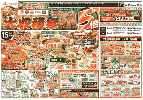 2025年11月15〜16日まで秋の大収穫祭！⭐2日間ポイント5倍⭐-1