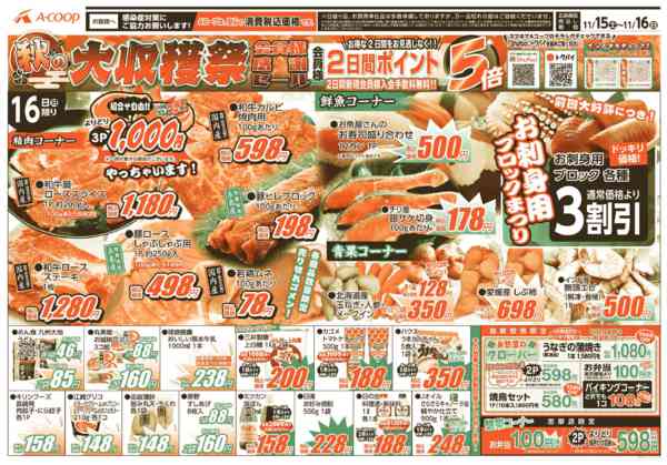 2025年11月15〜16日まで秋の大収穫祭！⭐2日間ポイント5倍⭐-2