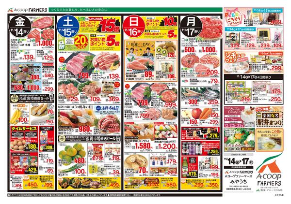 11月14日～11月17日-2