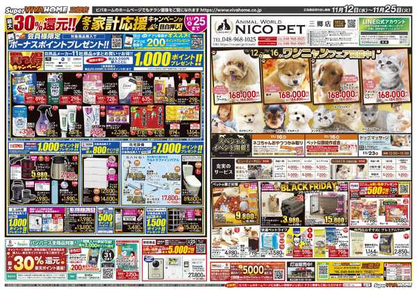 スーパービバホーム-2