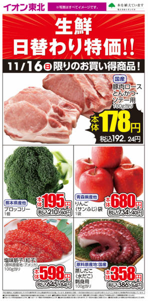 2025年11月16日限り11月16日日替わりnew-1