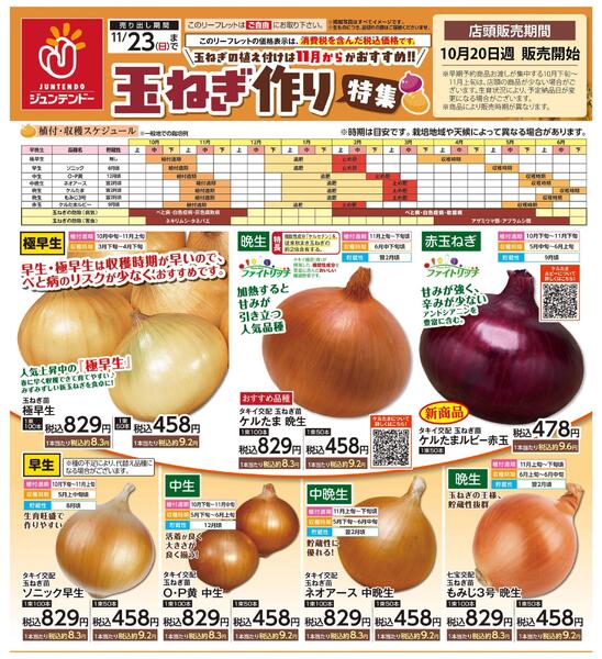 玉ねぎ作り特集-1