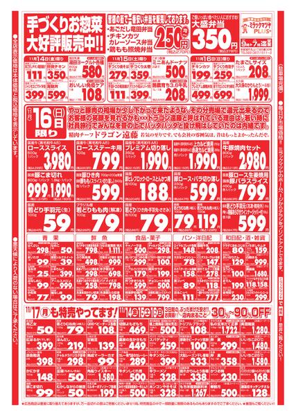 最新チラシnew-2