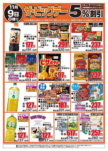 2025年11月9日限りザ・ビッグデーnew-2