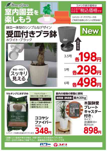 2025年10月11日〜11月20日まで室内園芸を楽しもう-1