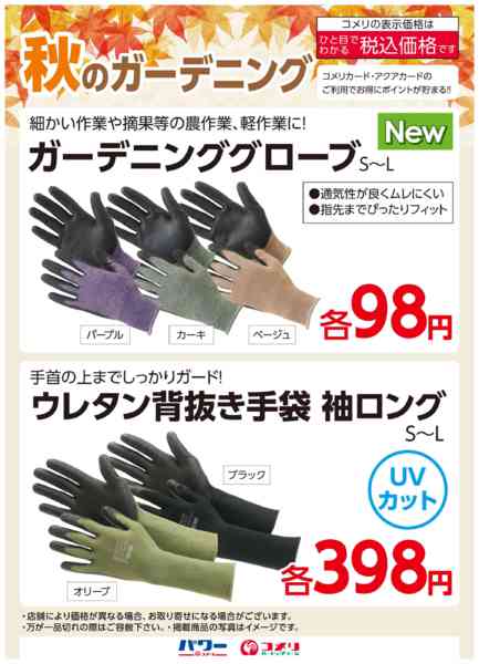 2025年10月24日〜11月23日まで秋のガーデニング-1