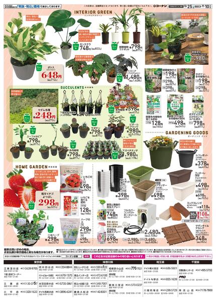 10月25日～11月10日　オータムフェア-2