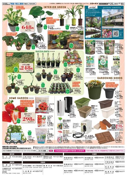 10月25日～11月10日　オータムフェア-2