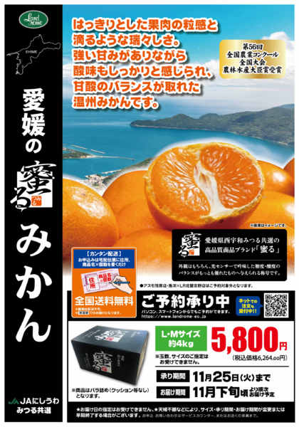 2025年10月1日〜11月25日まで【産直】愛媛の蜜るみかん-1