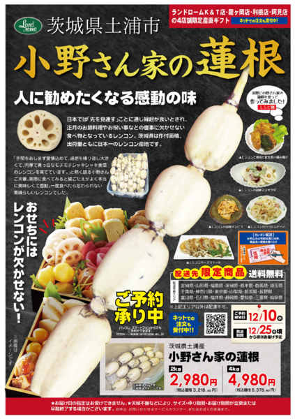 2025年11月1日〜12月10日まで【産直】小野さん家の蓮根-1