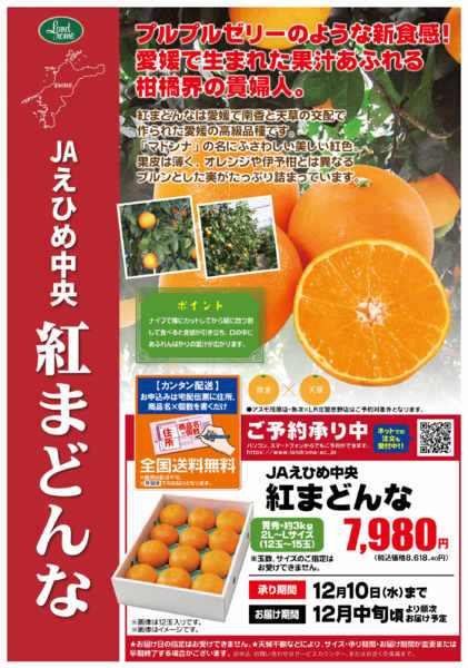 2025年11月1日〜12月10日まで【産直】紅まどんなnew-1