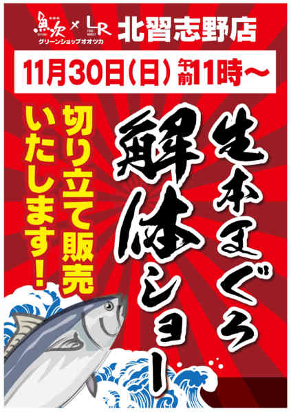 2025年11月27〜30日まで【北習志野店】まぐろ解体ショー！-1