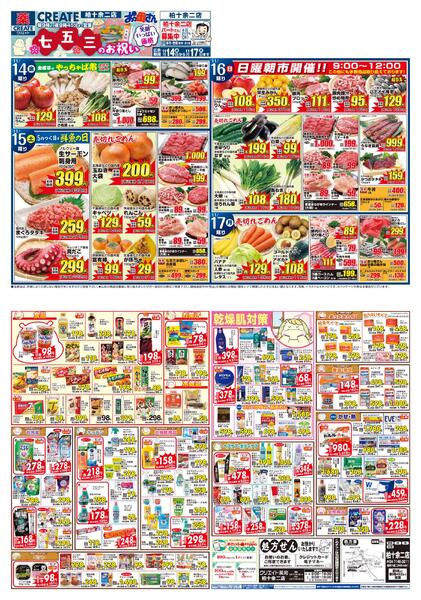 レギュラーチラシ-1